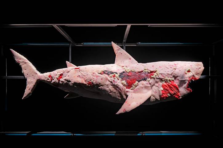 When You Are Between the Devil and the Deep Blue Sea